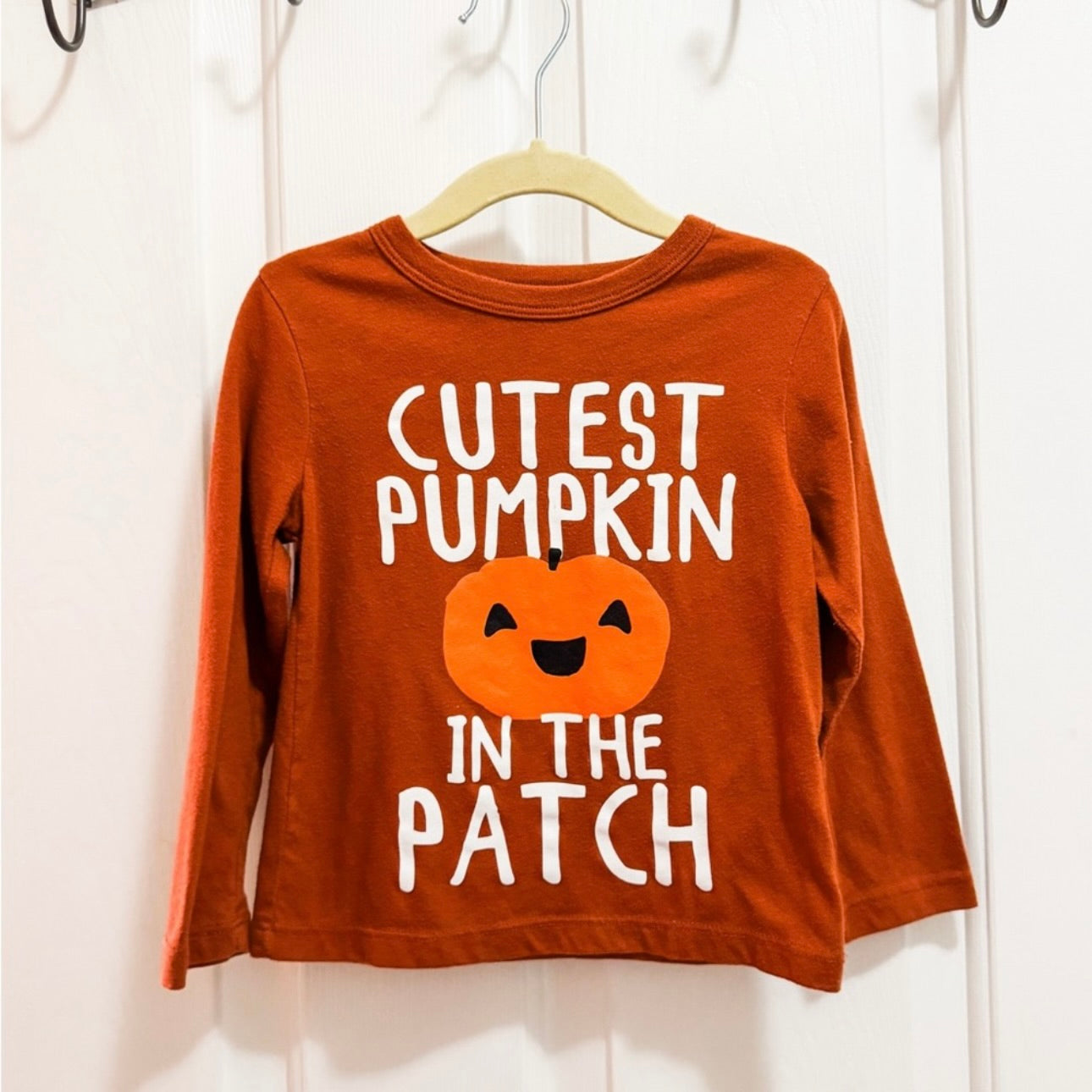 Kids Pumpkin Patch Tee Size 2T